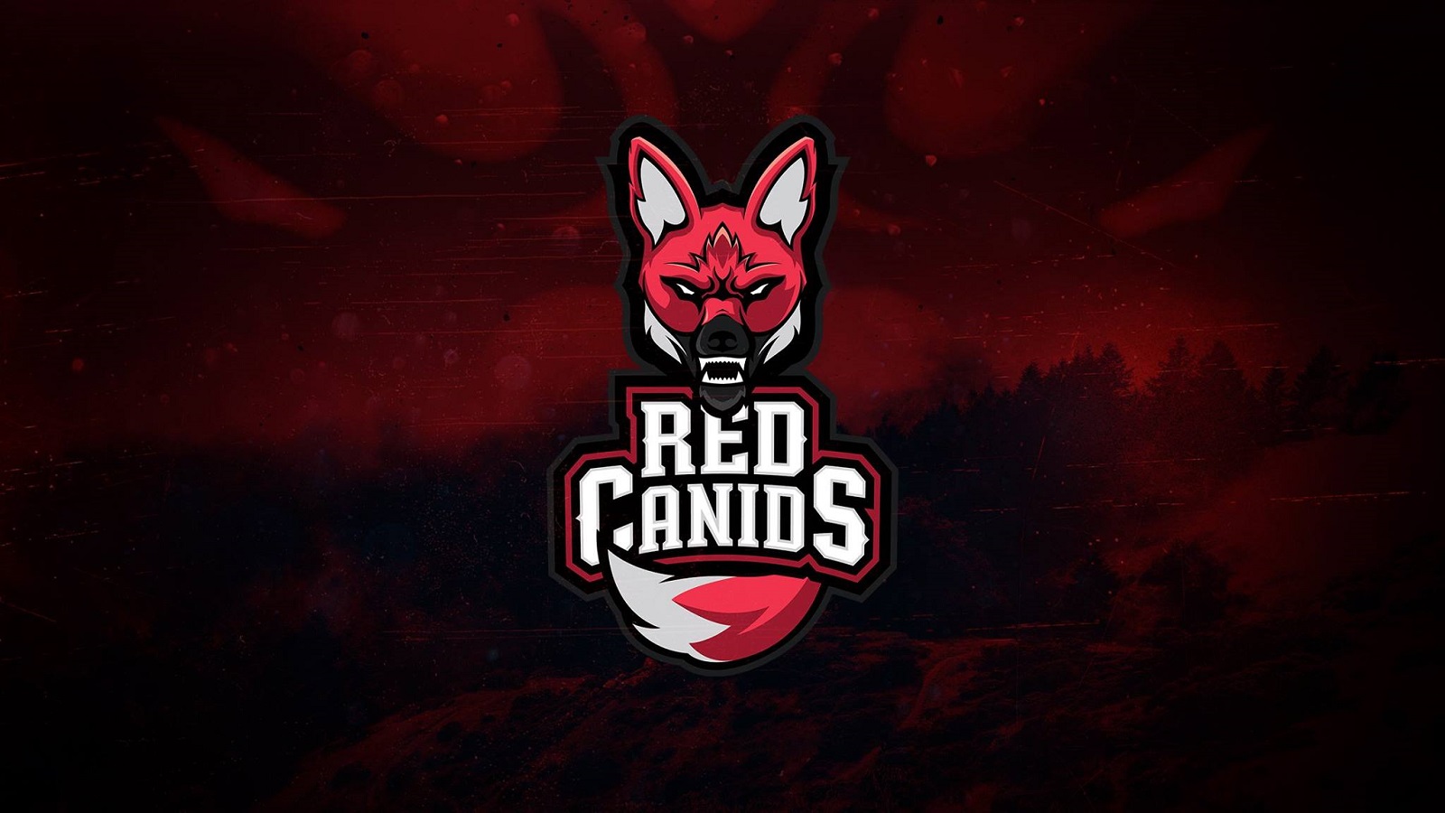 RED Canids Kalunga anuncia a BIC como sua nova patrocinadora
