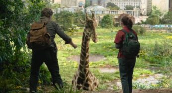 The Last of Us: Girafa Real é Usada em Cena Emocionante na Série de TV