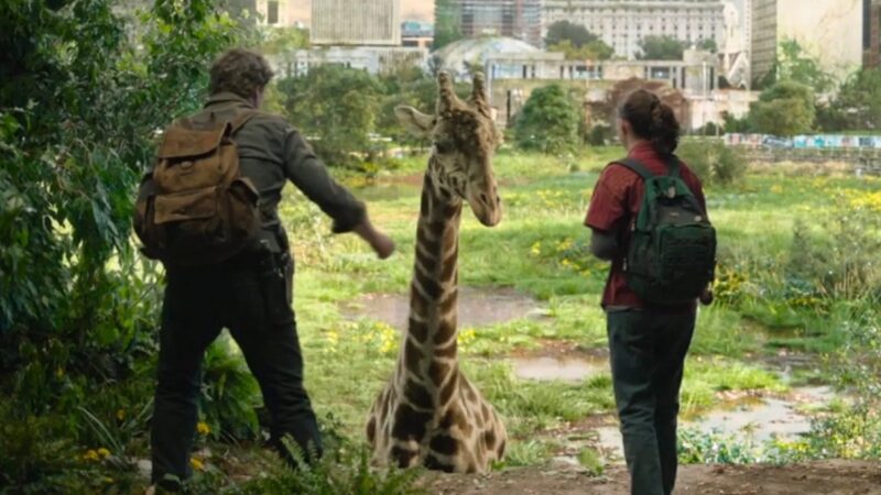 The Last of Us: Girafa Real é Usada em Cena Emocionante na Série de TV